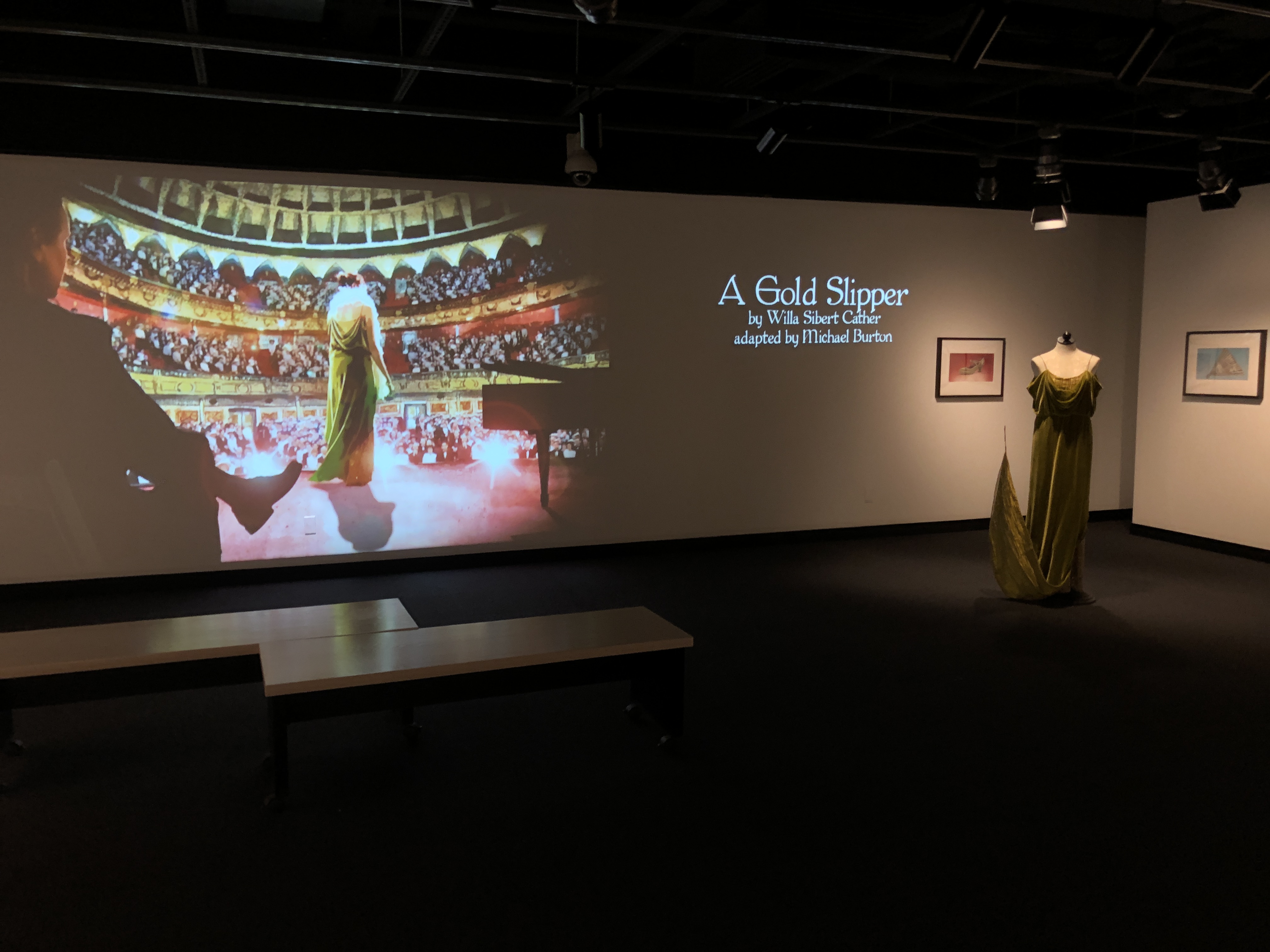 Wide image including the dress, title of the exhibit, and the video display